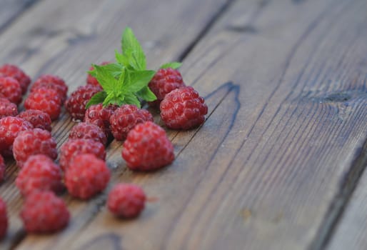 Late raspberry berries are covered with frost, lie on a wooden background, among them a sprig of green fresh mint