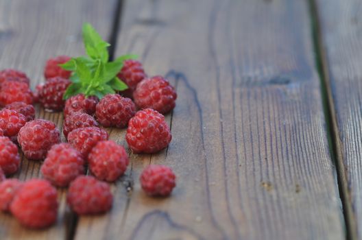 Raspberries are covered with frost, lying on a wooden background, among them a green mint leaf