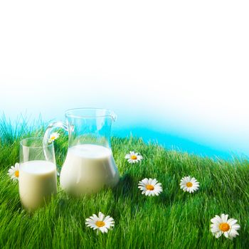 Glass of milk and jar on fresh grass meadow with chamomiles