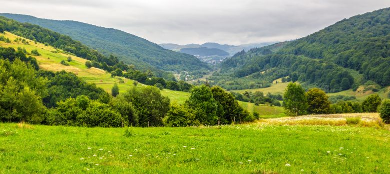 panoramic landscape with village in mountains behind the agricultural meadow with trees and  flowers on  hillside