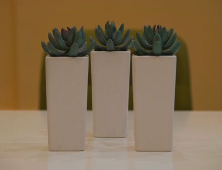 Three flowerbeds with plastic plants on white table in front of a chair