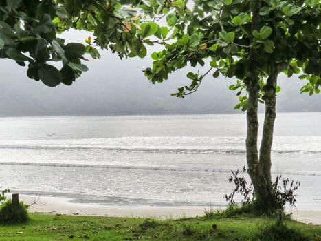 Sunny morning on the beach, sea with waves, trees and lawn in the foreground.