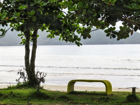 View of the beach with sea and bay in the background on sunny day, with bench and tree in the foreground.