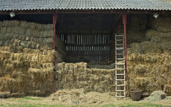 View on barn full of dry straw