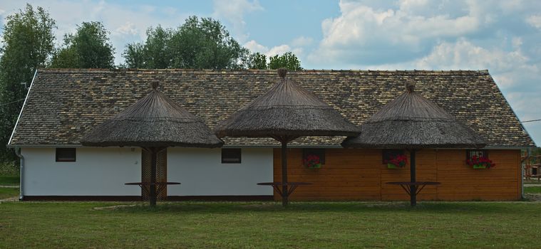 Rural guest house with three cane shed at serbian farm