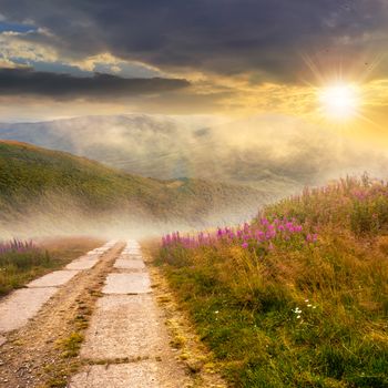 composite summer landscape with high wild grass and purple flowers in fog near the road on mountain hillside in evening light