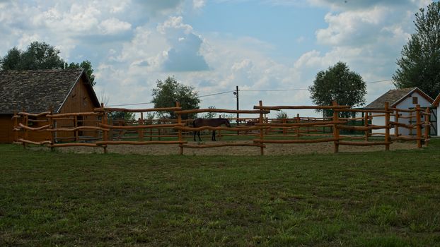 Fenced area with a brown horse inside it