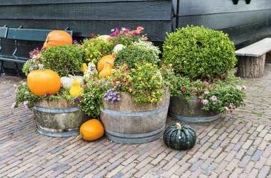 old wooden barrels with green plants and flowers in a garden in front of house with green painted wooden walls