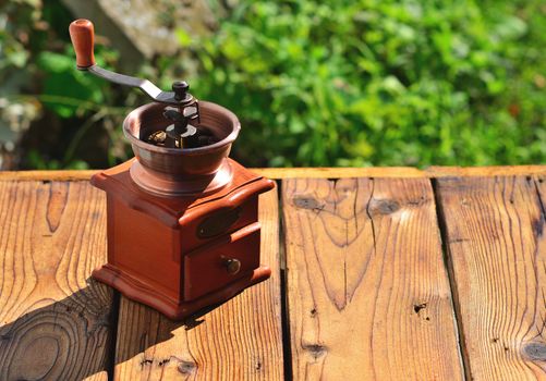 Coffee grinder on wooden boards against the background of green in the sunlight