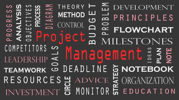 Project Management word cloud concept on black background.