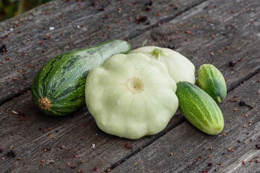Zucchini, two pattypan squash with few cucumbers harvested from the vegetable garden beds lie on the wooden table