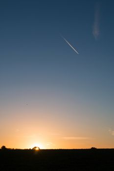 Sunrise through trees with plane vapour trail against blue sky.