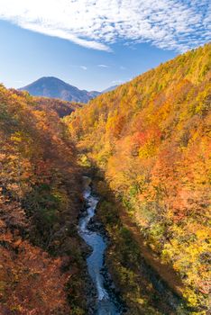 Nakatsugawa gorge from bridge at Fukushima in autumn fall Japan