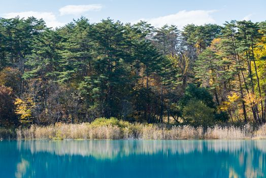 Goshiki-numa Five Colour Pond in Autumn, Urabandai, Fukushima, Japan