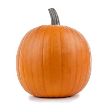 One orange pumpkin isolated on white background, Halloween concept