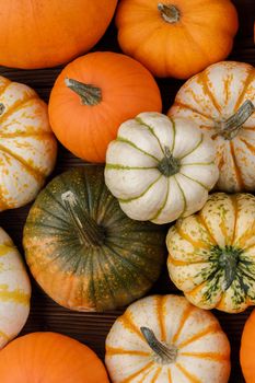 Many orange pumpkins on wooden background, Halloween concept