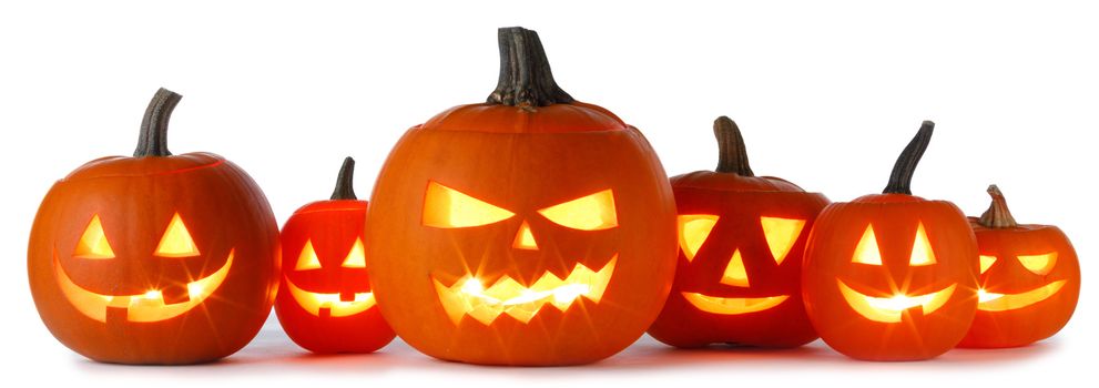 Six Halloween Pumpkins isolated on white background