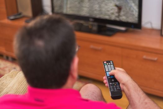 Back view of senior man watching tv holding remote control