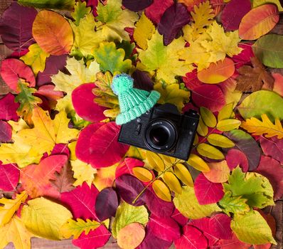 Old retro camera on vintage wooden boards abstract background with autumn leaves