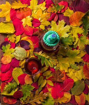 Blurred autumn leaves background with hot steaming cup of tea