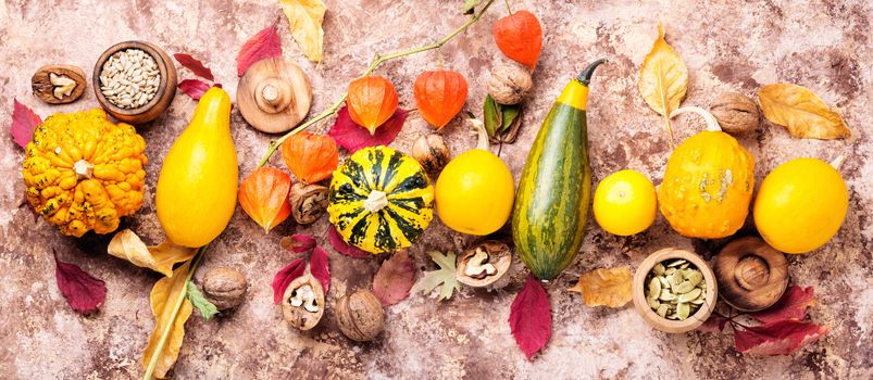 Beautiful autumn seasonal background with pumpkins .Autumn nature concept