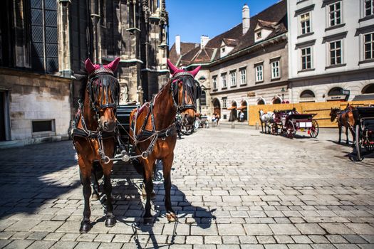 horses and carriage on historic europe centre square