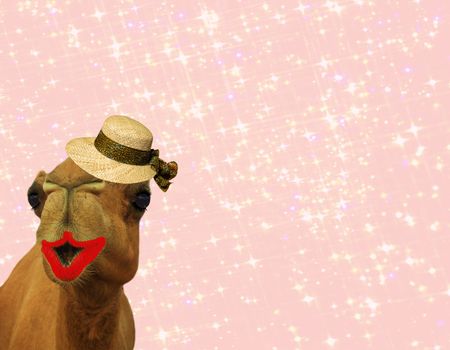 hilarious camel wearing makeup and a straw hat isolated on a girly glittery pink background