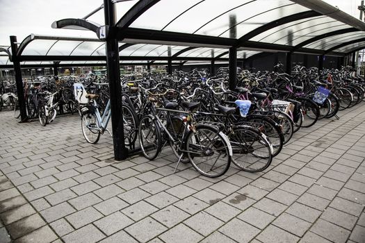 AMSTERDAM,NETHERLANDS - SEPTEMBER 06, 2018: Sunset in Amsterdam.Bicycle parking and traditional old dutch buildings.Flower market on Single canal, Netherlands