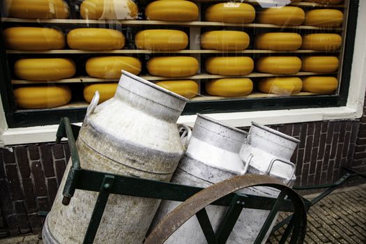 Artisan edam cheese, detail of Dutch cheese making