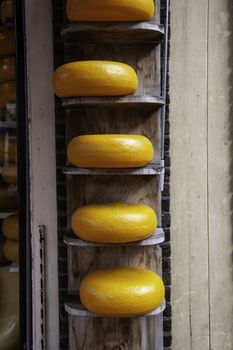 Artisan edam cheese, detail of Dutch cheese making