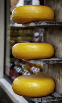 Artisan edam cheese, detail of Dutch cheese making