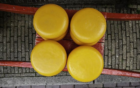 Artisan edam cheese, detail of Dutch cheese making
