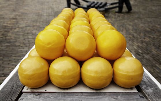 Artisan edam cheese, detail of Dutch cheese making