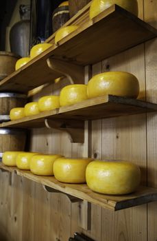 Artisan edam cheese, detail of Dutch cheese making
