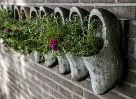 Dutch clogs craftsmen, manufacture of traditional footwear for the field