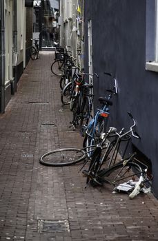 Amsterdam alley, Dutch city street, tourism in europe