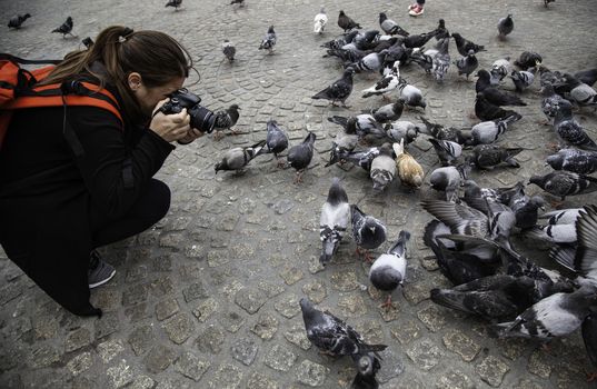 Feeding the pigeons, detail of a woman photographing the birds