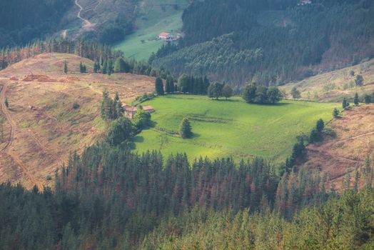 Vizcaya forest and mountain landscape in oiz mount, Basque country, Spain.