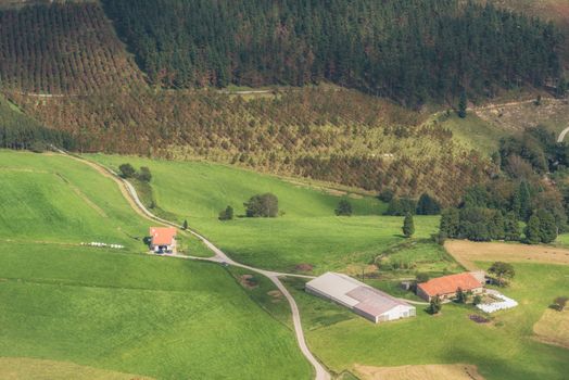 Vizcaya forest and mountain landscape in oiz mount, Basque country, Spain.