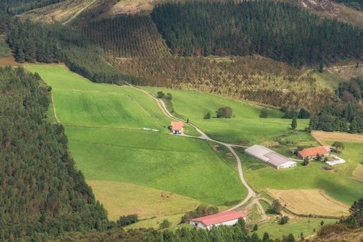 Vizcaya forest and mountain landscape in oiz mount, Basque country, Spain.