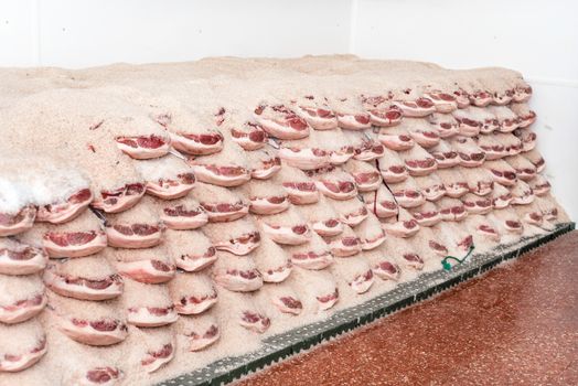 Salting process of iberian ham. Meat industry concept.