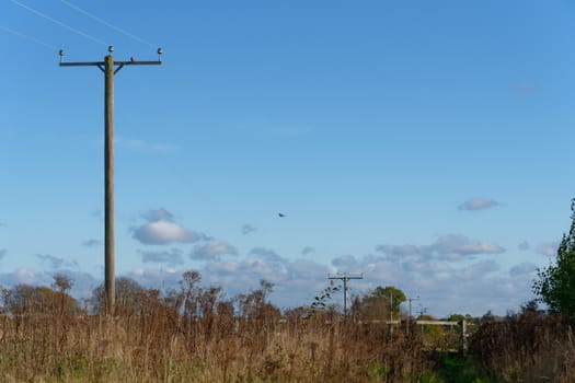 Telgraph poles receding into the distance in Lindfield