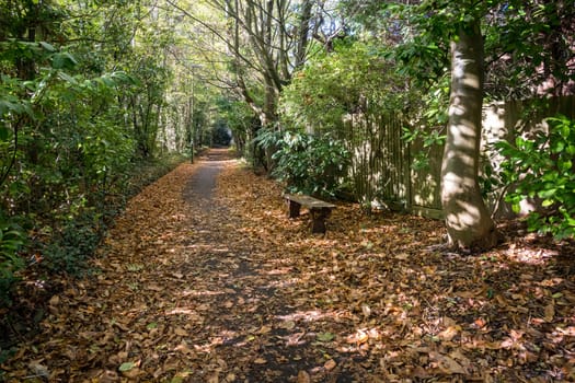 Autumn scene along a twitten in Lindfield West Sussex