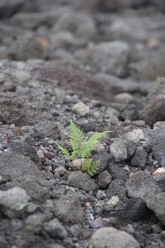 Mount Merapi devastation impact on its surrounding