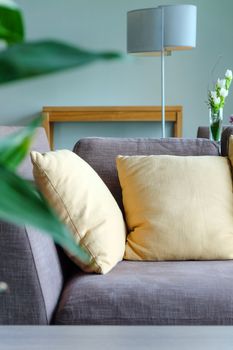 Detail of sofa in living room