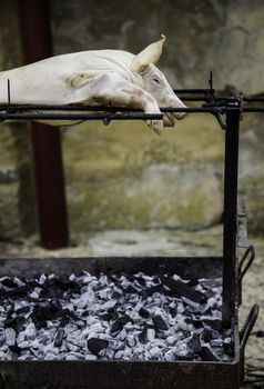 Grilled suckling pig, detail of cooked meat, vegan