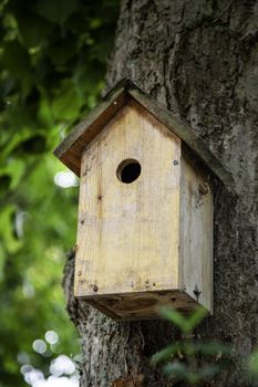 Wooden birdhouse, animal protection detail in the forest
