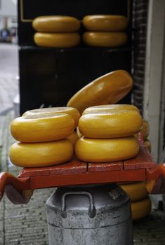 Artisan edam cheese, detail of Dutch cheese making