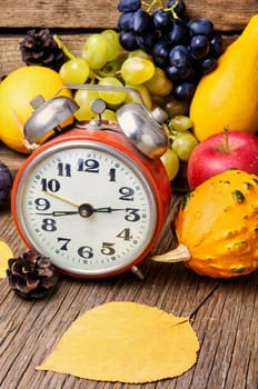 Autumn background with clock,pumpkin, apples and grapes.Autumnal concept.Harvesting