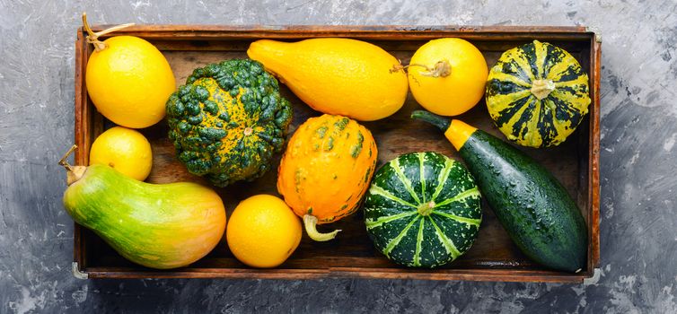 Autumn still life with pumpkins on wooden background.Autumn harvest.